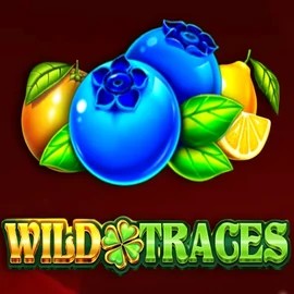 Play the Wild Traces slot by Amusnet Interactive on Spinbara Casino